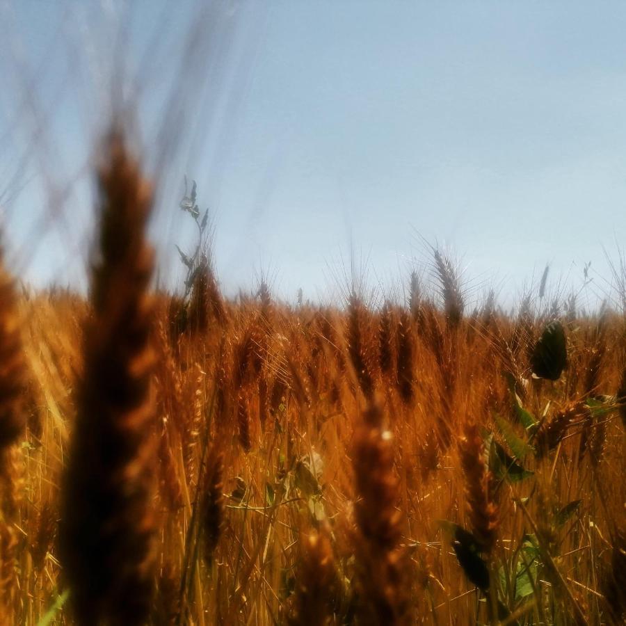 Casetto Rosso San Lazzaro di Savena Exteriér fotografie