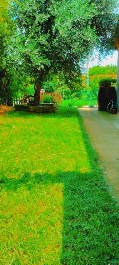 Casetto Rosso San Lazzaro di Savena Exteriér fotografie
