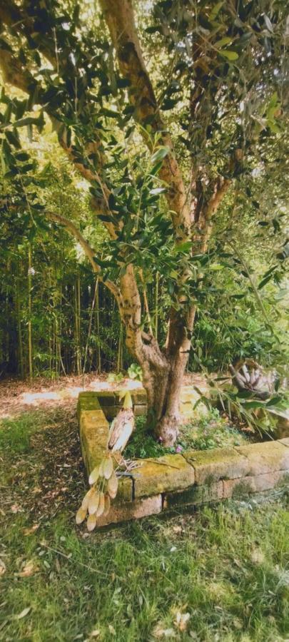 Casetto Rosso San Lazzaro di Savena Exteriér fotografie